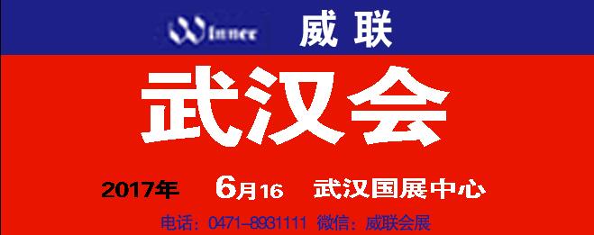2017武汉药交会