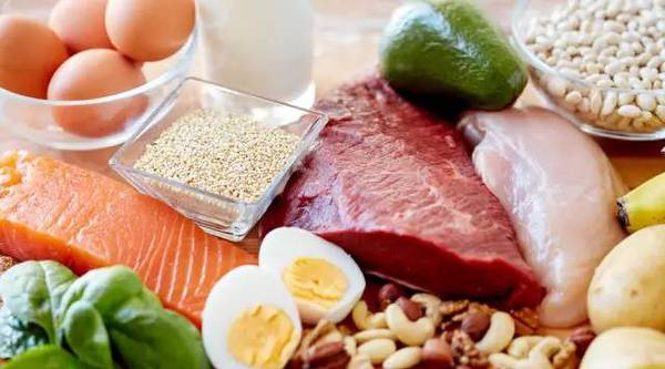 蛋白质含量高的食品有哪些
