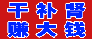 大师精品 炒作团队
