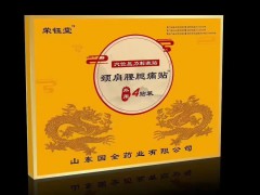 颈肩腰腿疼痛贴剂