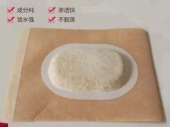 沙蒿子透皮贴系列产品