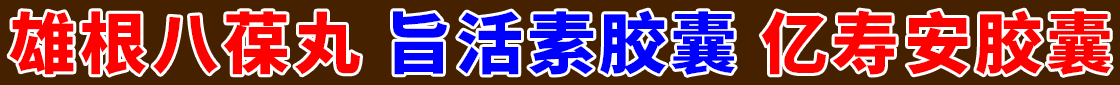 宏宇医药公司