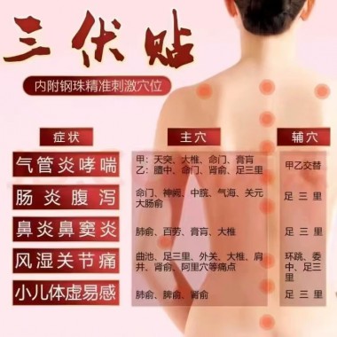 三伏贴  穴位压力刺激贴