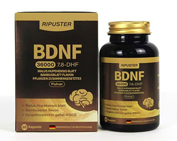 德国原装进口BDNF
