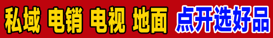 大师精品 炒作团队