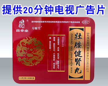 薛家堂壮腰健肾丸