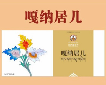 嘎纳居儿