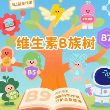 8 大 B 族营养素协同,厚璞堂维生素 B 族,守护日常代谢健康