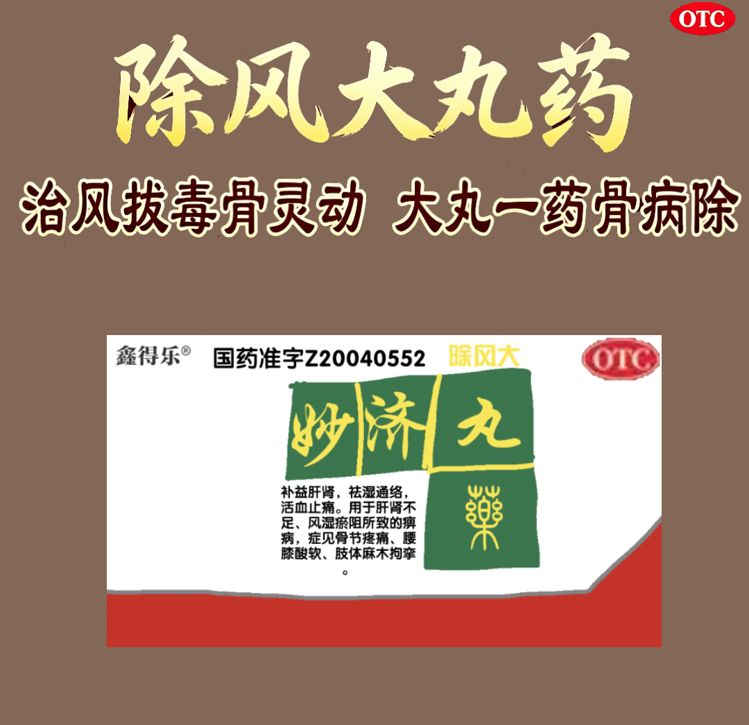 除风大丸药